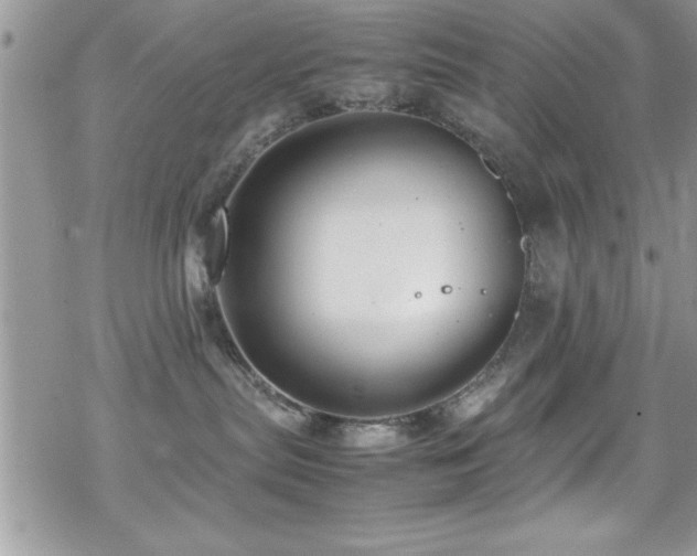 X0000070410287200606091159