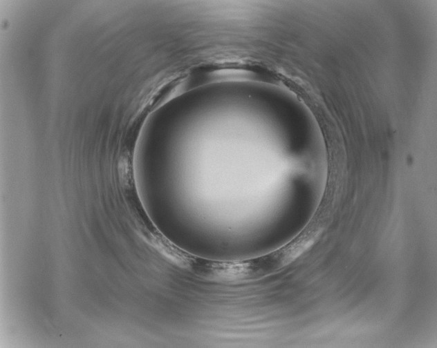 X0000070410288200606091159