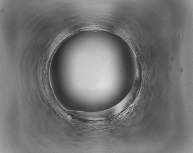 X0000070410289200606091158