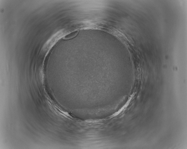 X0000070410290200606091158