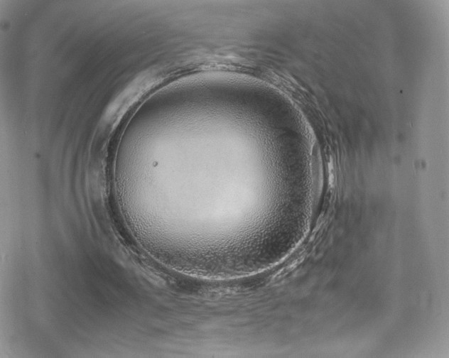 X0000070410291200606091158