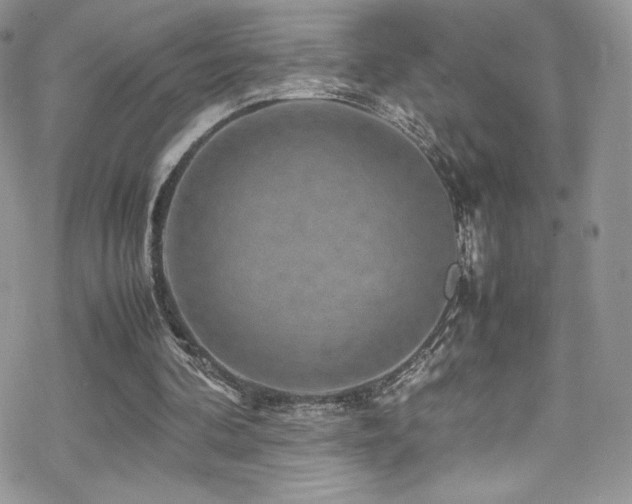 X0000070410292200606091158