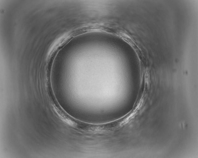 X0000070410293200606091158