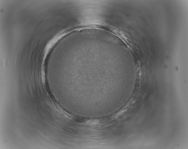 X0000070410294200606091158