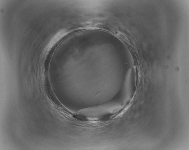 X0000070410295200606091158