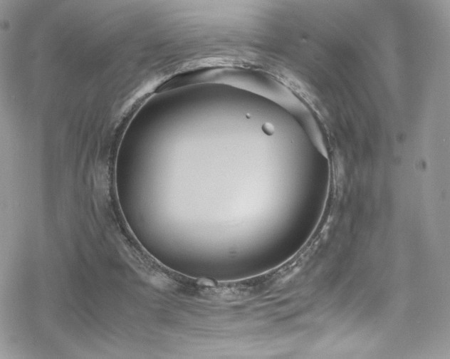 X0000070410297200606091158