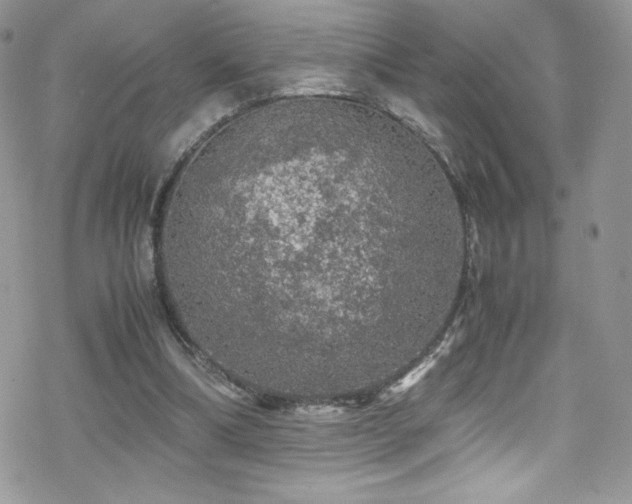 X0000070410298200606091158