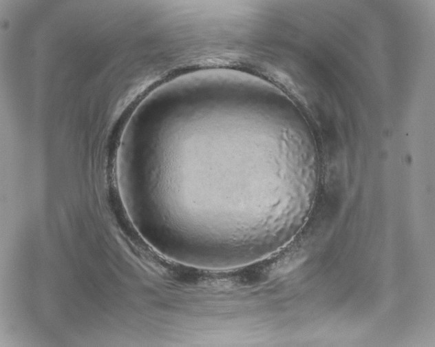 X0000070410299200606091158