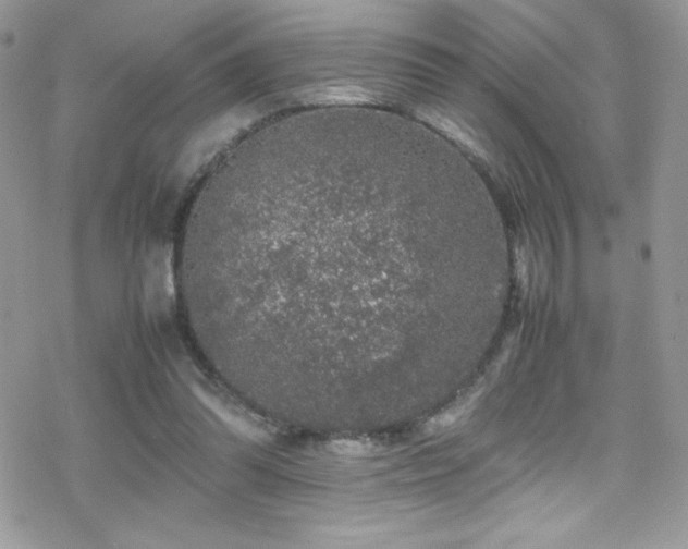 X0000070410302200606091158