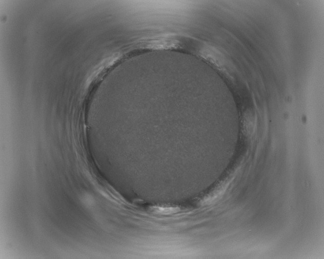 X0000070410303200606091158