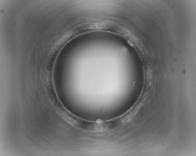 X0000070410305200606091158