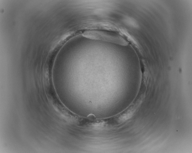 X0000070410306200606091158