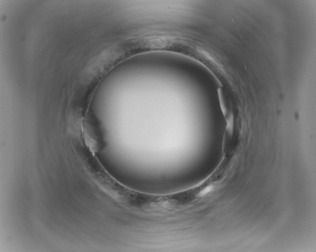 X0000070410307200606091158