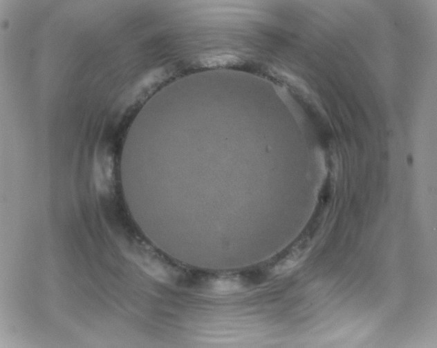 X0000070410308200606091158