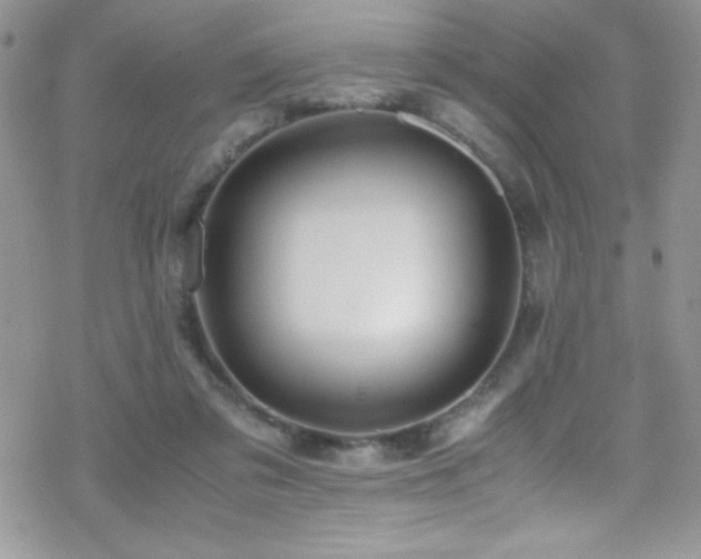 X0000070410309200606091158