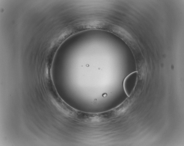 X0000070410310200606091158