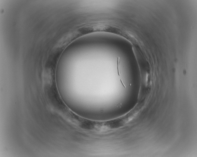 X0000070410311200606091158