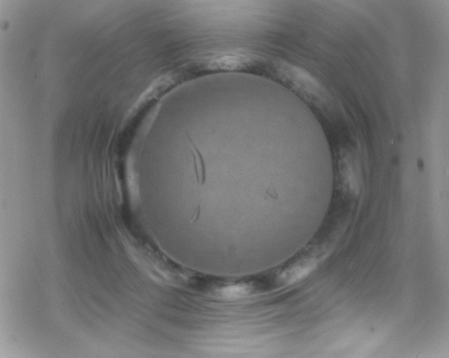 X0000070410312200606091158