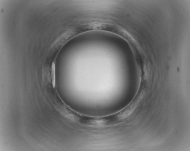 X0000070410313200606091158