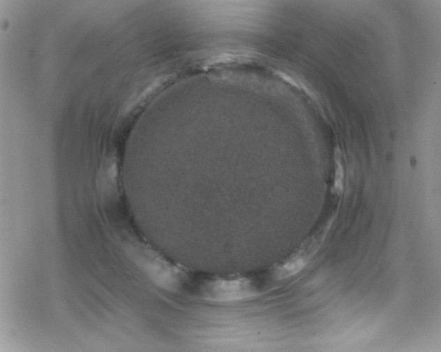 X0000070410314200606091158