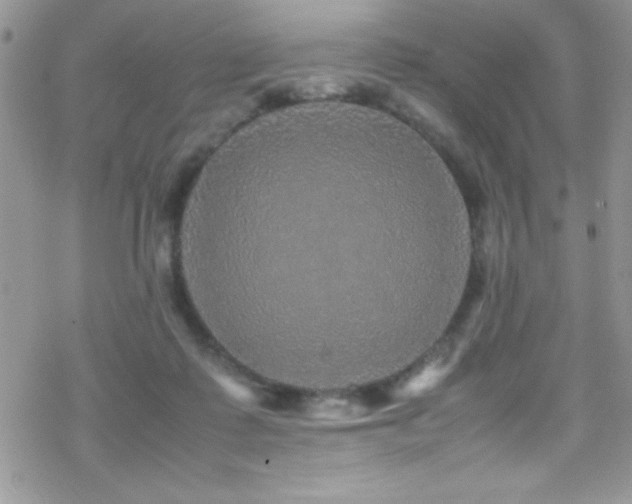 X0000070410315200606091158