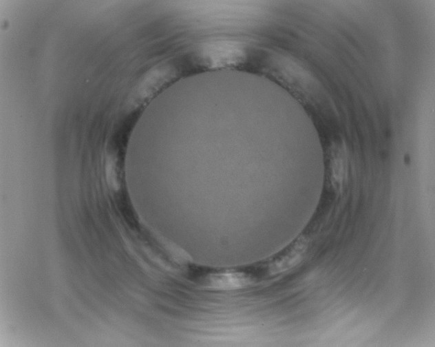 X0000070410316200606091158