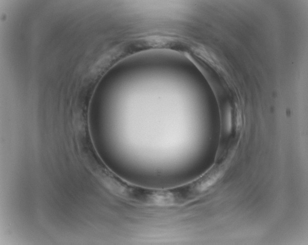 X0000070410317200606091158