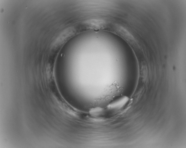 X0000070410318200606091158