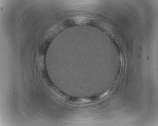 X0000070410319200606091158