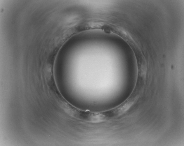 X0000070410321200606091158