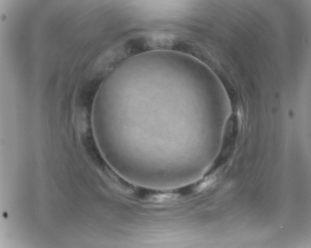 X0000070410323200606091158