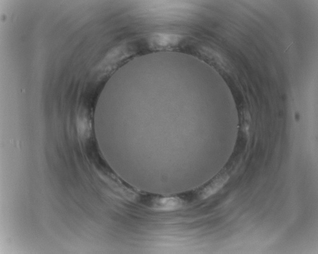 X0000070410324200606091158