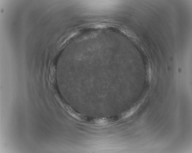 X0000070410325200606091158