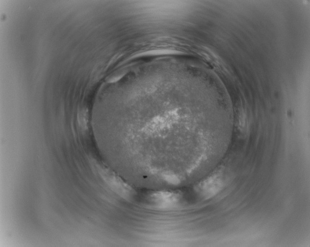 X0000070410326200606091158