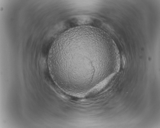 X0000070410327200606091158