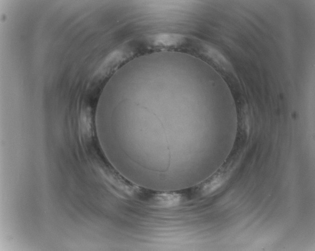 X0000070410328200606091158