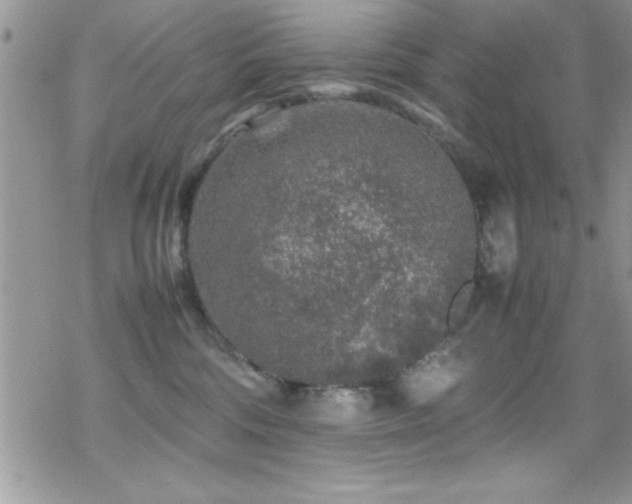 X0000070410330200606091158