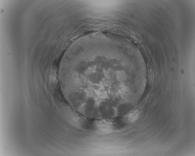 X0000070410331200606091158