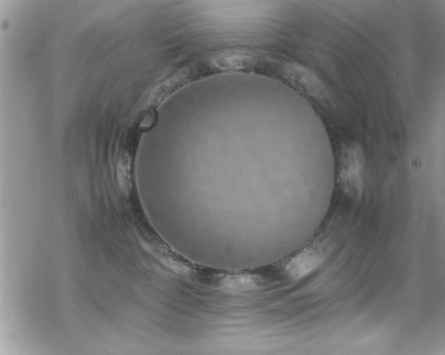 X0000070410332200606091158