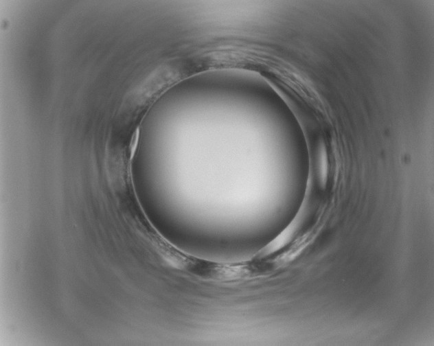 X0000070410333200606091158