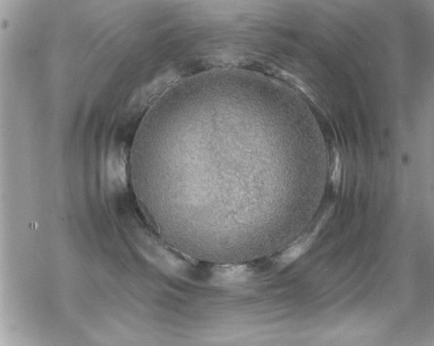 X0000070410334200606091158