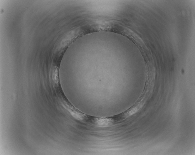 X0000070410336200606091158