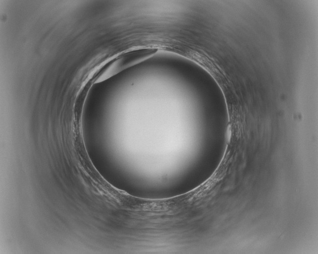 X0000070410338200606091157