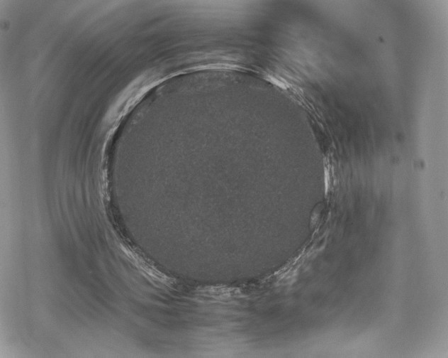 X0000070410339200606091157