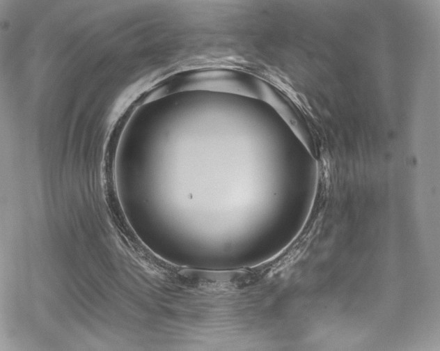 X0000070410340200606091157