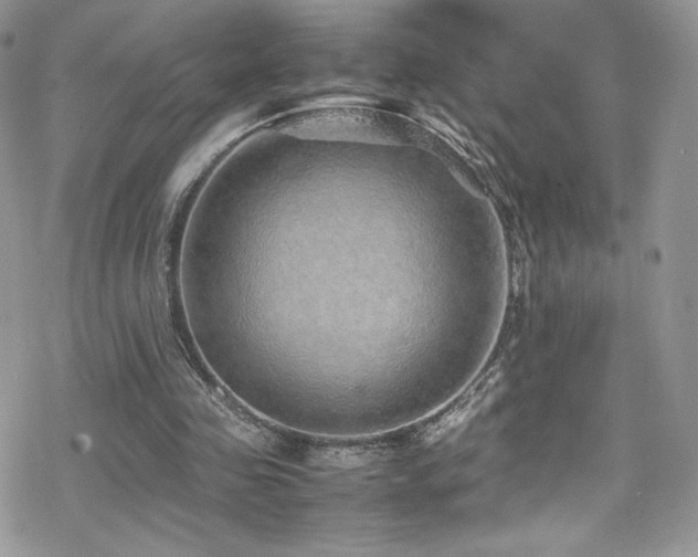 X0000070410341200606091157