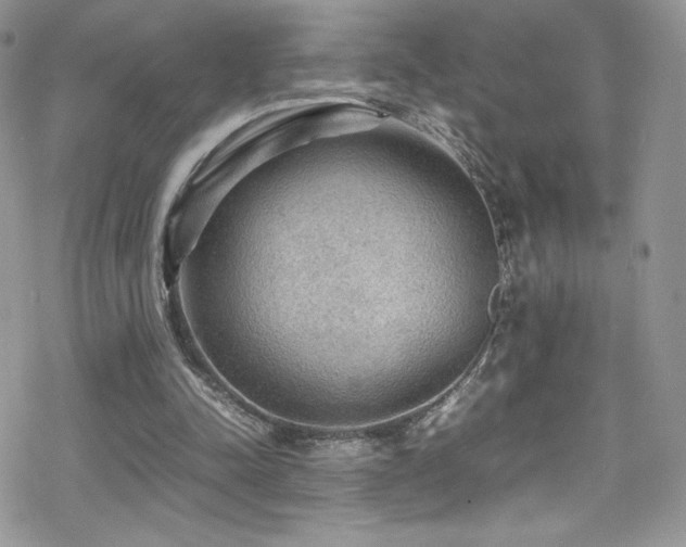 X0000070410342200606091157