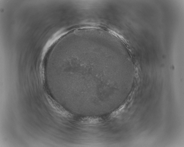 X0000070410343200606091157