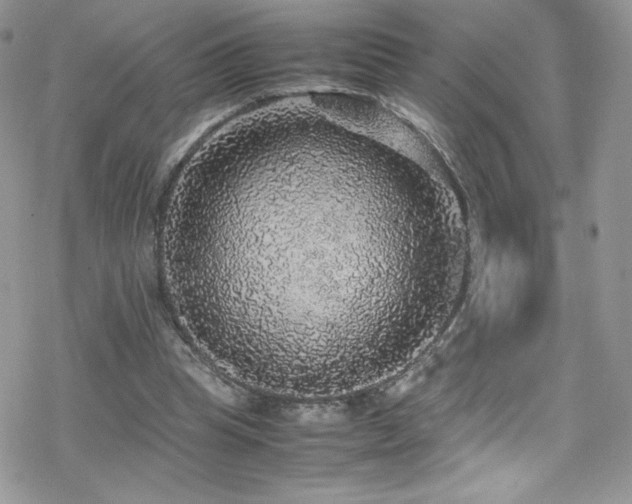 X0000070410345200606091157