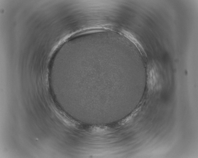 X0000070410346200606091157